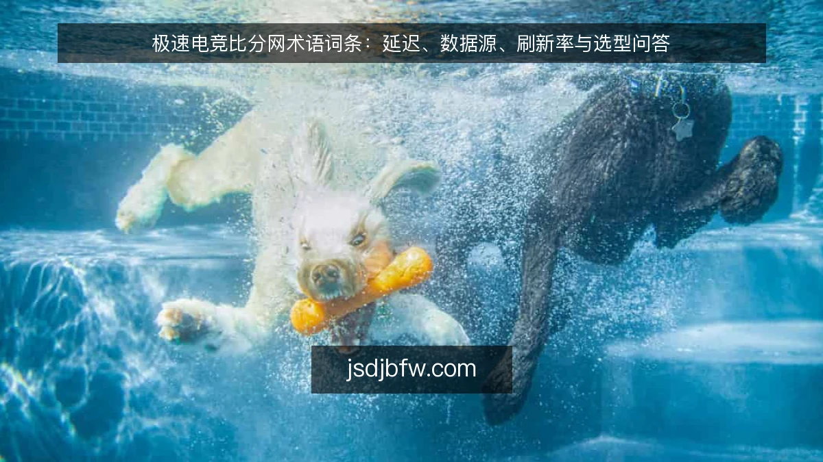 极速电竞比分网术语词条：延迟、数据源、刷新率与选型问答